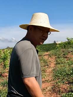 农业人叶涛，50多岁通讯人跨界搞农业，他要用1000万打造一个梦。